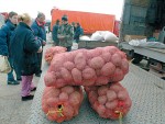 ЛЕПШЕ УПАКОВАН: Увозни кромпир преплавио Србију