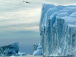 ДВАНАЕСТ КВАДРАТНИХ КИЛОМЕТАРА: Одвојио се велики комад леда на Гренланду