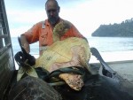 ПАПУА НОВА ГВИНЕЈА: Купио корњаче на пијаци и пустио их у океан