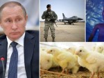 „ЕКСПЕРТ“ СИ-ЕН-ЕНА: Путин отео и малезијски авион