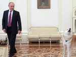 РАЗМИШЉА КАО ШАХИСТА: Иза камере: Само једна ствар може да озари Путина током интервјуа