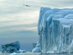 РАЗЛОЗИ ЗА БРИГУ: Гренланд изгубио 341 милијарду тона леда, глечери потонули метар