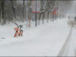 И КИНА СЕ ЗАЛЕДИЛА: Хаос због сњежне олује и -49 степени