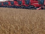 БЛУМБЕРГ: Око половина земаља света купује руску пшеницу