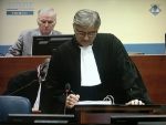 ЛУКИЋ: Генерал Младић осуђен и за оно за шта није ни оптужен