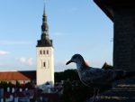 БИВШИ ПРЕДСЕДНИК ЕСТОНИЈЕ ПРЕТИ: Ако Русија нападне Естонију може изгубити Санкт Петербург, Томск и Омск