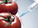 Све већа опасност од генетски модификоване хране: Купујте само од оних које познајете