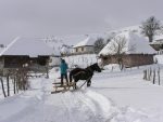 КАРАЈУКИЋА БУНАРИ, НАЈХЛАДНИЈЕ СЕЛО У СРБИЈИ: Кад температура падне на минус 30 или 40, овде и дрво пуца од мраза