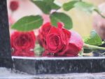 ЗЛОЧИН БЕЗ КАЗНЕ: Комеморација поводом 31 године од убиства српске породице Зец