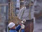Ово могу само Украјинци: У Николајеву срушили споменик оснивачу града – кнезу Григорију Потемкину