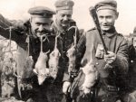 Као у Првом светском рату: Најезда глодара на фронту, хиљаду мишева на четири украјинска војника
