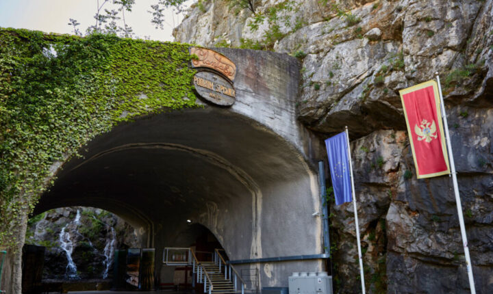 Како је Михаел Мартенс срушио илузију о евроинтеграцији Црне Горе